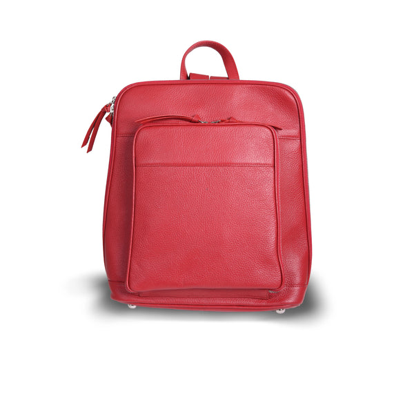 ALPS BACKPACK